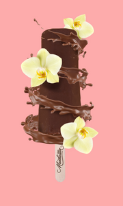 VAINILLA CUBIERTA DE CHOCOLATE